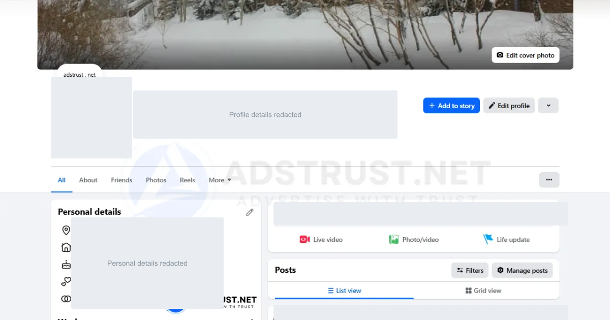 Facebook profile account overview with all personal details redacted